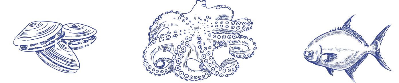 Contemporary Mexican Seafood